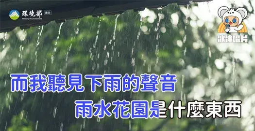你不知道的雨水花園  簡單的雨水管理方法