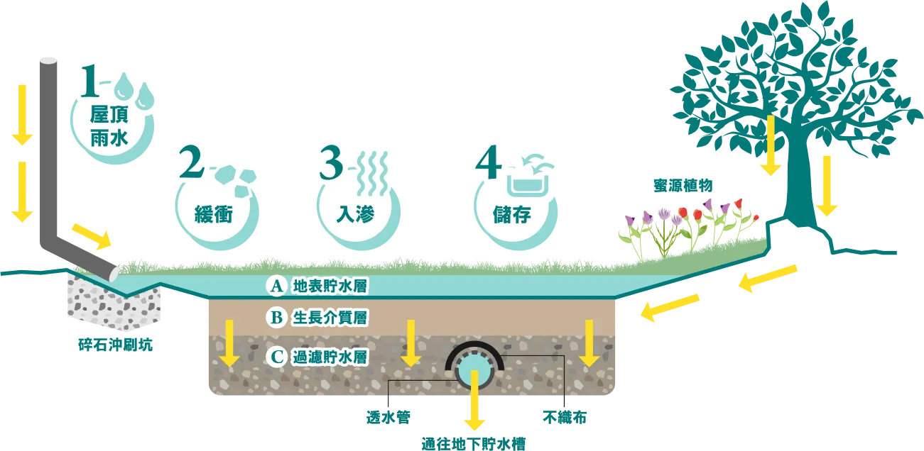 雨水花園基地剖面示意圖