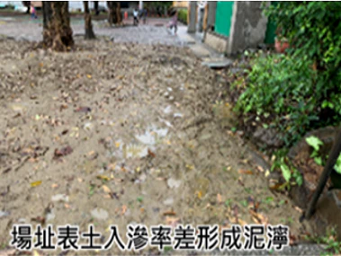 實施成果照片3