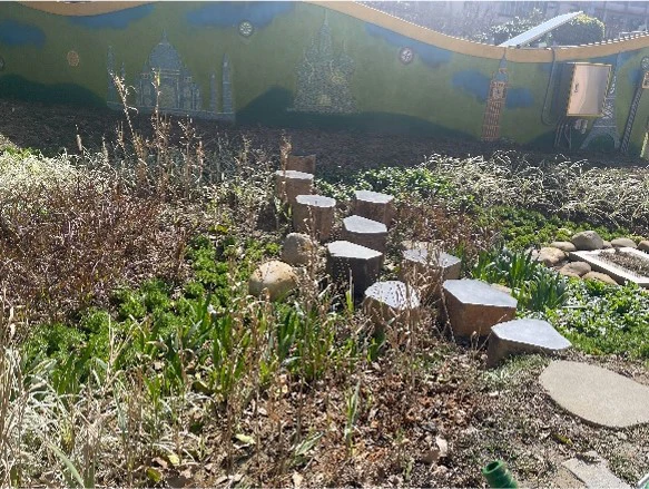 Implementation Outcomes3