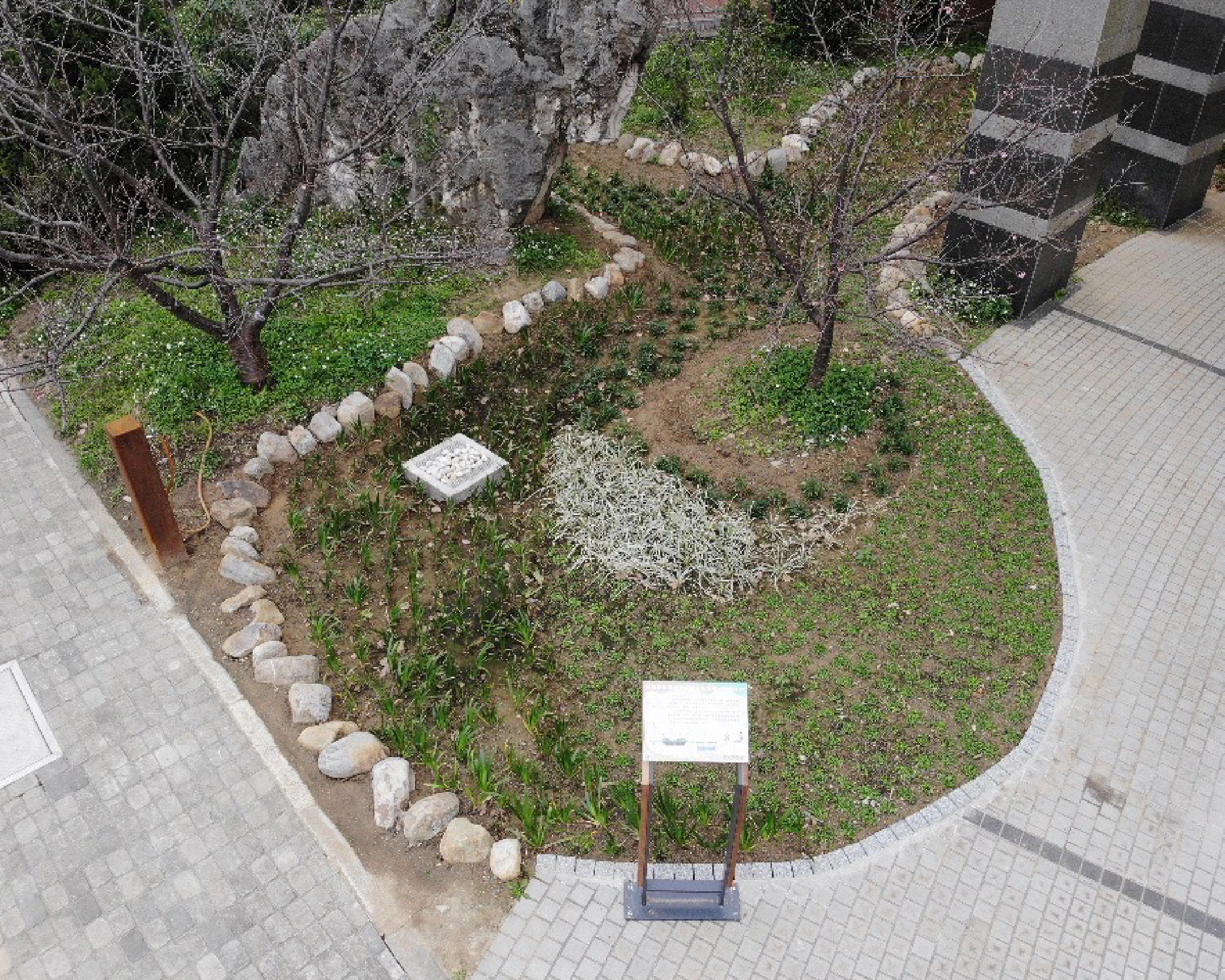 國家環境研究院施工後照