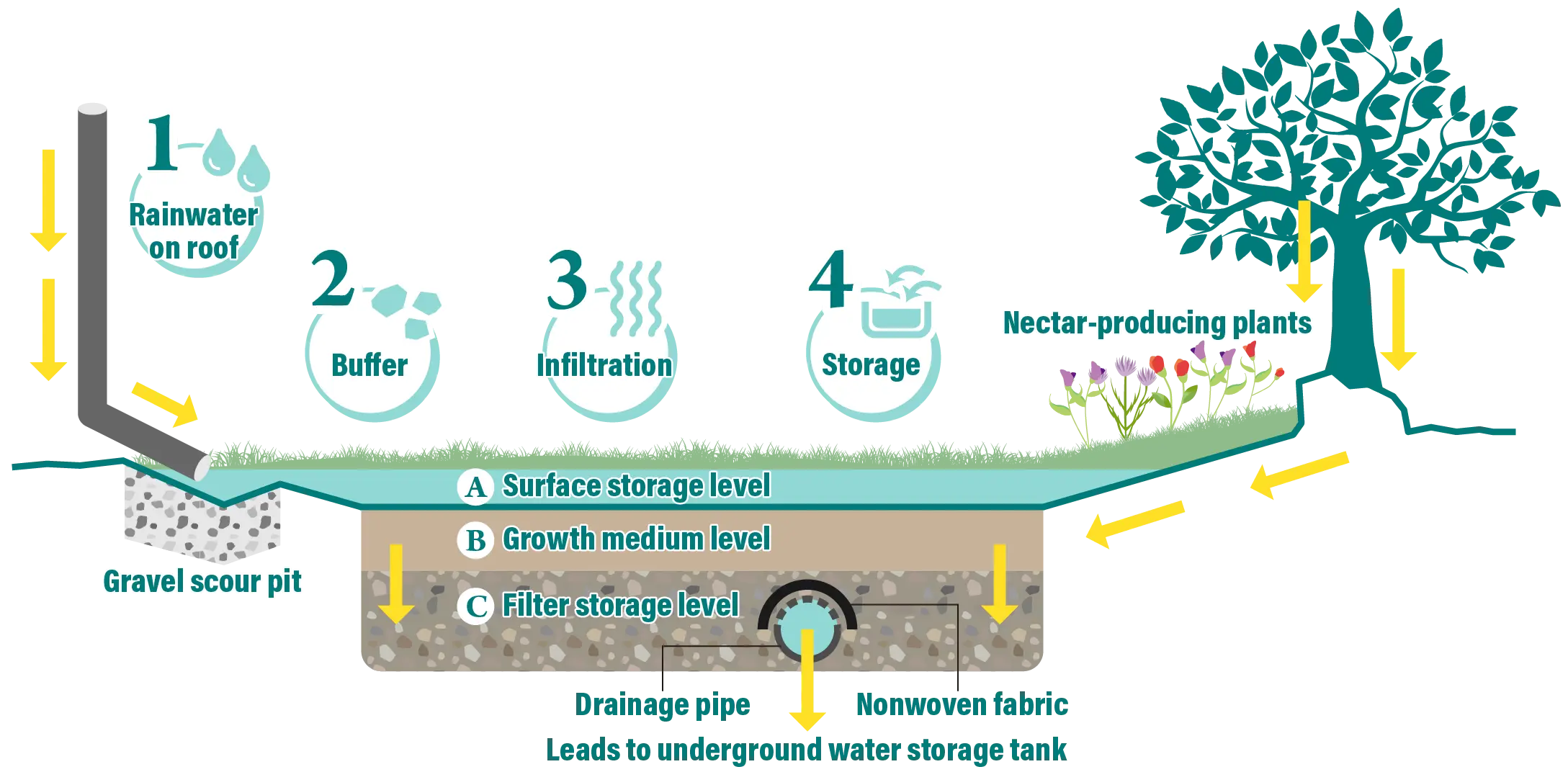 Site Cross-Sectional Diagram